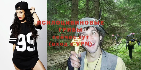 а пвп мука Заводоуковск