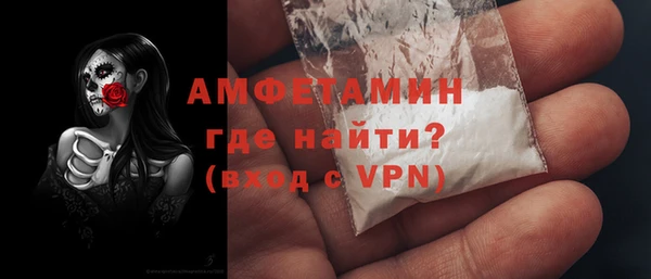 дживик Пересвет