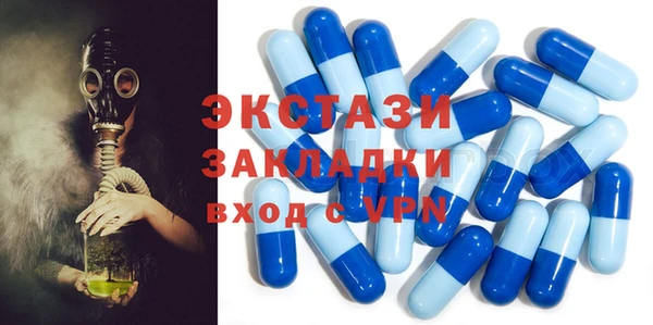 дживик Пересвет